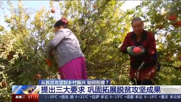 從脫貧攻堅到鄉(xiāng)村振興 如何銜接？