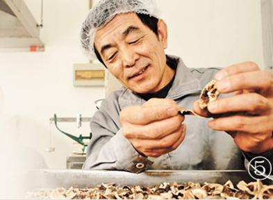 中國(guó)僑網(wǎng)于葆墀在去除枳殼的瓤。 本報(bào)記者 賀勇攝
