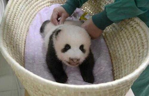 中國僑網(wǎng)