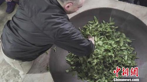 中國僑網美國人付德明體驗“殺青” 鐘欣 攝